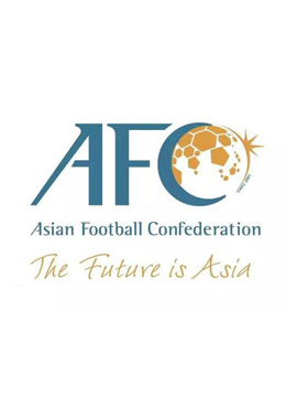 2023年中国亚洲杯足球赛事（小组赛、淘汰赛、1/4决赛、半决赛、决赛）